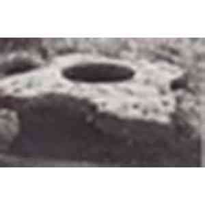 Click para ampliar. Pulsa en el nombre para ver la ficha. macrocandelilla de Berxería